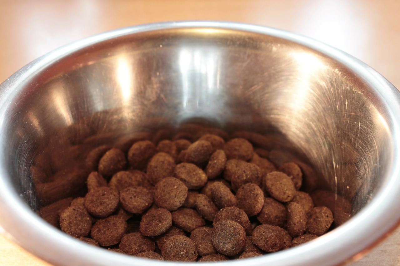 Har du de rigtige hundeskåle til din hunds mad?